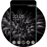 Black Dahlia Flower Theme:  Live HD Wallpaper icon