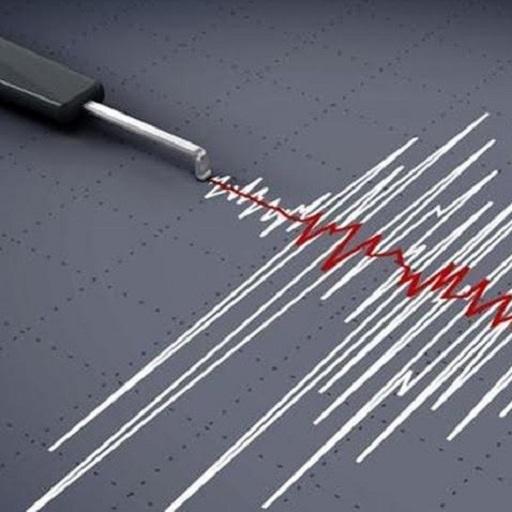 Disaster Management logo