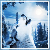 Wolf Husky Winter LWP icon