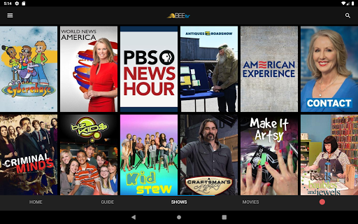 Screenshot of Beehive BEEtv