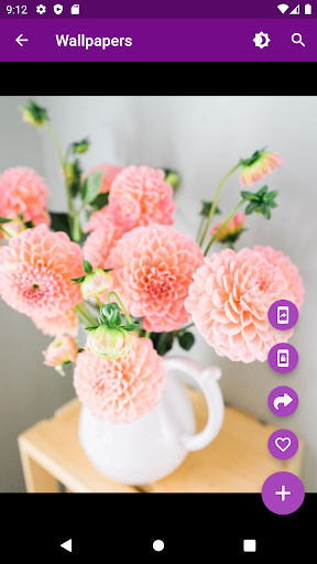 Wallpapers and backgrounds HD Screen 3