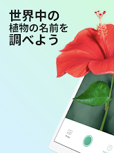 アプリ android 無料 の 名前 花