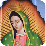 Virgen de Guadalupe Cuadro icon