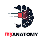 My Anatomy (VR)