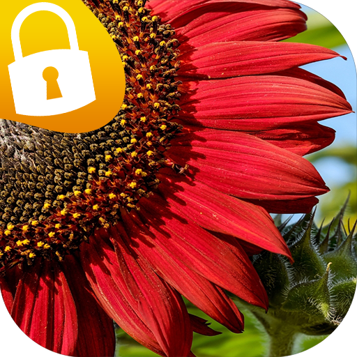 Sunflower Passcode Lock Screen logo