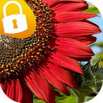 Cover Image of ดาวน์โหลด Sunflower Passcode Lock Screen  APK
