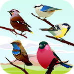 Cover Image of Download Bird Sounds 1.0 APK