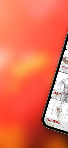 Android application Fitness Full Body Workout plan screenshort