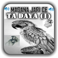 Magana Jari Ce Ta Daya (1) - Audio Mp3