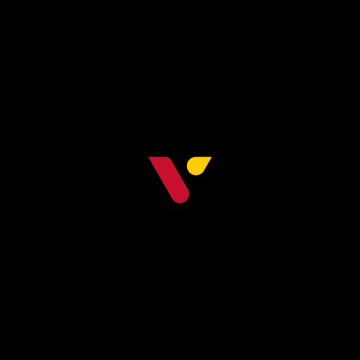 VinTransfr logo