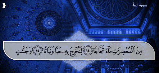 فارس عباد  - جزء عم