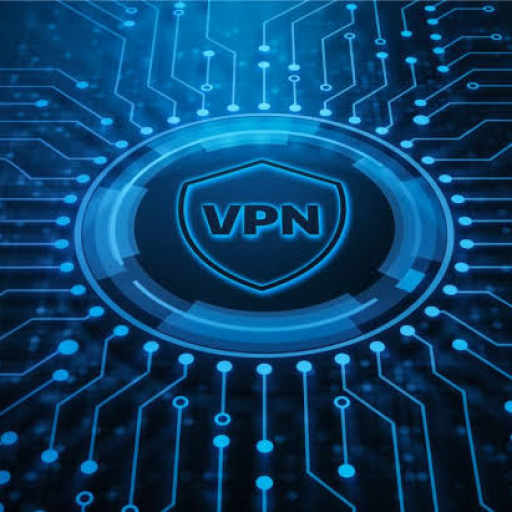 VPN IN logo