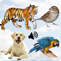Download 150 Animals and Birds Sounds for Kids Free for Android - 150  Animals and Birds Sounds for Kids APK Download 