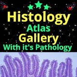 Histology Atlas Gallery 2020: Top A+ In Any Exam icon