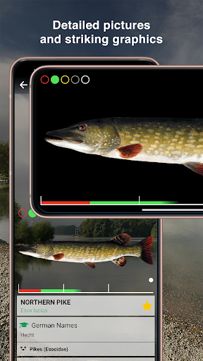 Fishguide Rhineland-Palatinate Screen 3