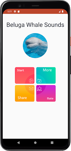 Beluga Whale Sounds Screen 2