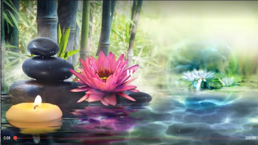 Captura de Pantalla 16 Música para sanar los chakras android