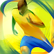 Road to Brazil - Androidアプリ