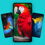 Cover Image of ดาวน์โหลด Parrot Wallpapers  APK