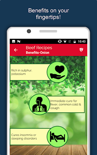 Screenshot of All Beef Recipes Offline Book