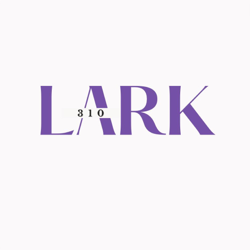 LARK310 logo