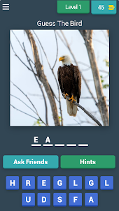 Guess The Bird Game 2024