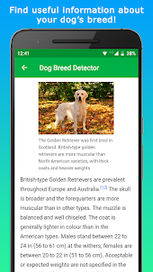 DoggyApp - Identify Dog Breeds