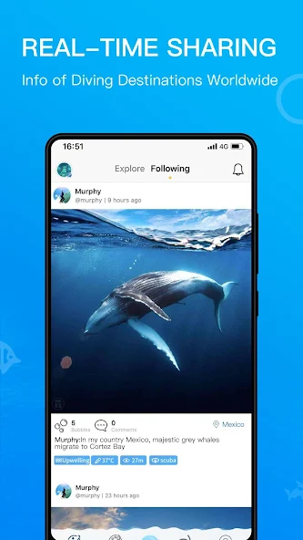 Dive+ : Diving Community UI shots 4