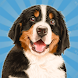 犬 町 俺の ペット シミュレーター 3D - Androidアプリ