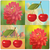 Flower Match Game icon