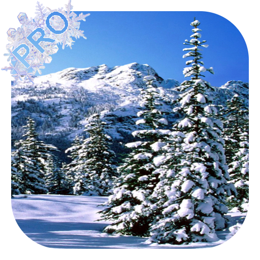 Winter Pro Live Wallpaper Google Play 上的应用