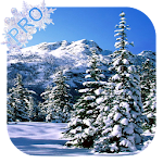 Cover Image of Download Winter Pro Live Wallpaper  APK