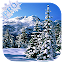 Winter Pro Live Wallpaper