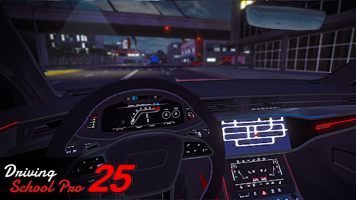 Driving School Pro 25