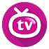 Orion TV 4.0.0