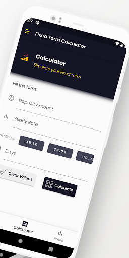Fixed Term Simulator Screen 2