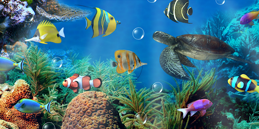 Acuario de pantalla en vivo - Apps en Google Play