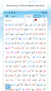 EZQuran Study (Quran Grammar)