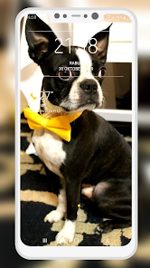 Captura de Pantalla 6 Boston Terrier Wallpaper android