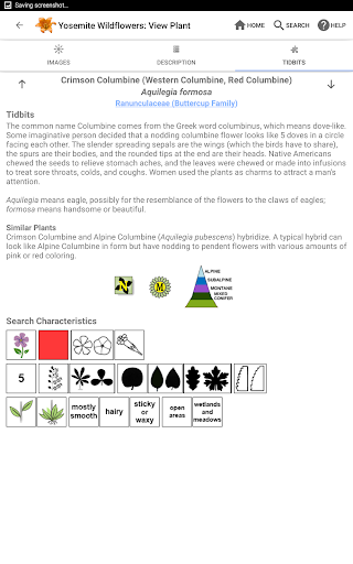Screenshot of Yosemite Wildflowers