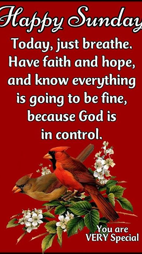 Happy Morning Sunday Blessings Screen 2