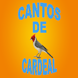 Cantos De Cardeal icon