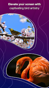 Birds HD 4K Wallpaper