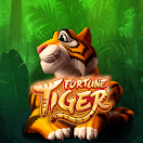 Download Jogo do Fortune Tiger Slots on PC (Emulator) - LDPlayer