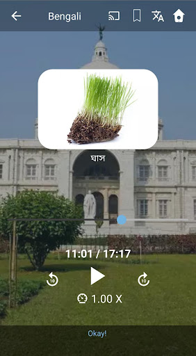 Learn Bengali. Speak Bengali. Screen 3