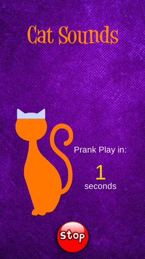 Cat Sounds Prank - Sonidos Gato Broma