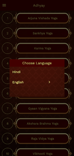 Bhagavad Gita: Hindi & English Screen 3