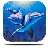 River Dolphin Live Wallpaper icon