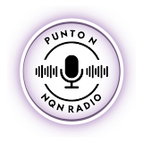 Punto N Radio icon