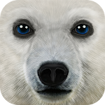 Cover Image of Télécharger Ultimate Arctic Simulator  APK